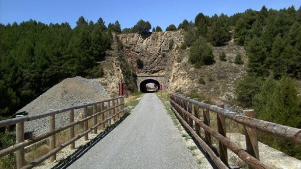 via verde ojos negros